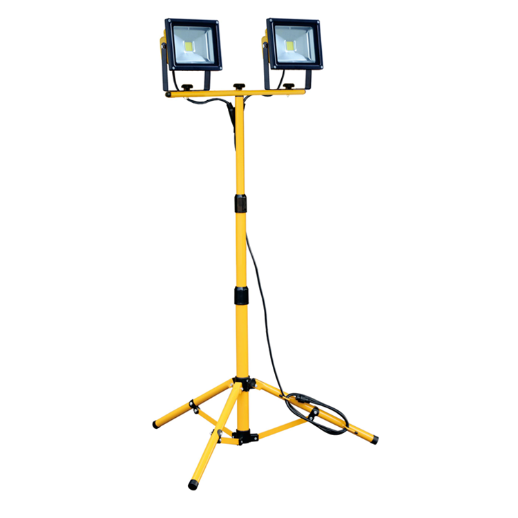 Power 2X20W Dual Voltage LED Site Light