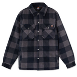 Dickies Portland Shirt